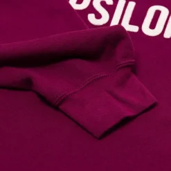 Sonderangebote X MJ Wild Donkey X Mj: Sweatshirt Mit Vintage-Buchstaben „Phi Kappa Epsi